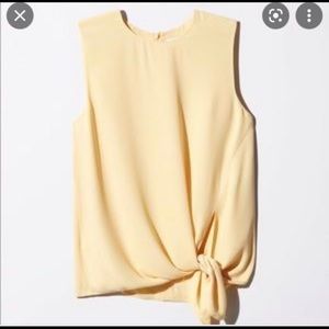 Aritzia Hopkins Blouse